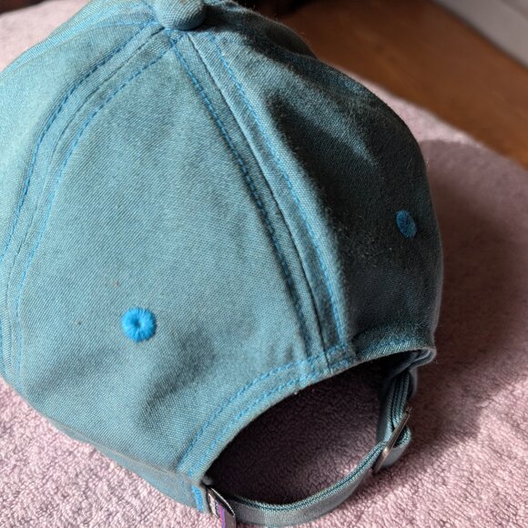 Patagonia wolf baseball hat cap blue main image 4